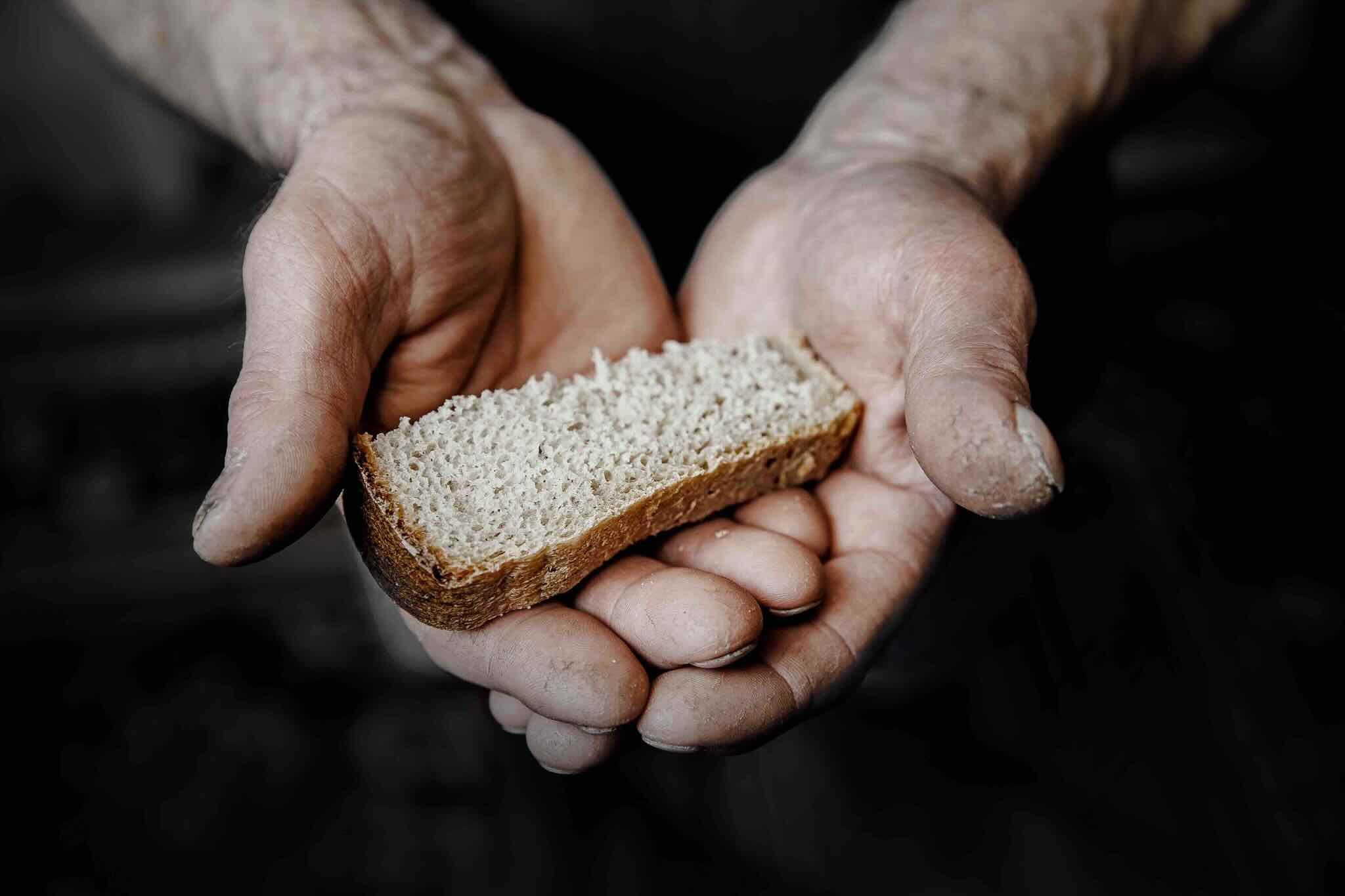 Waste-Less Baking: What Happens to Yesterday's Loaves?